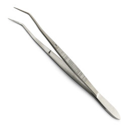 Show details for Dental Meriam Tweezer Cotton Dressing Serrated Angled Tip 16cm Picture of Dental Meriam Tweezer Cotton Dressing Serrated Angled Tip 16cm