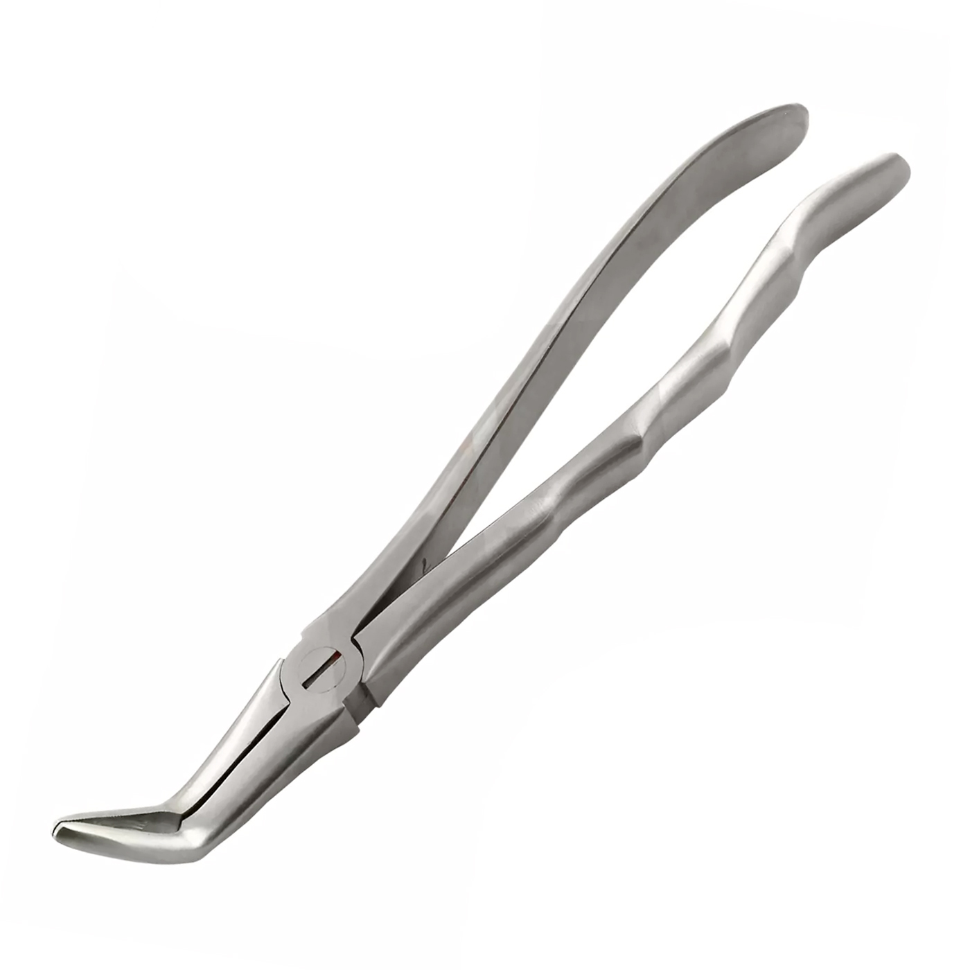 Picture of Dental Tooth Extraction Forceps Long Beak