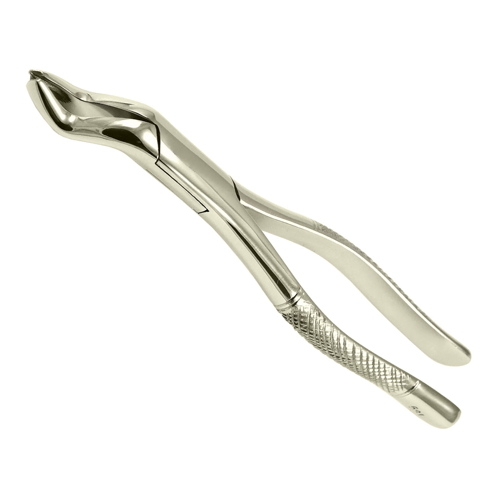 Picture of Fig 53L Upper Molar Extraction Forceps | Jamor Dental Surgical Tooth Extracting Pliers Stainless Steel