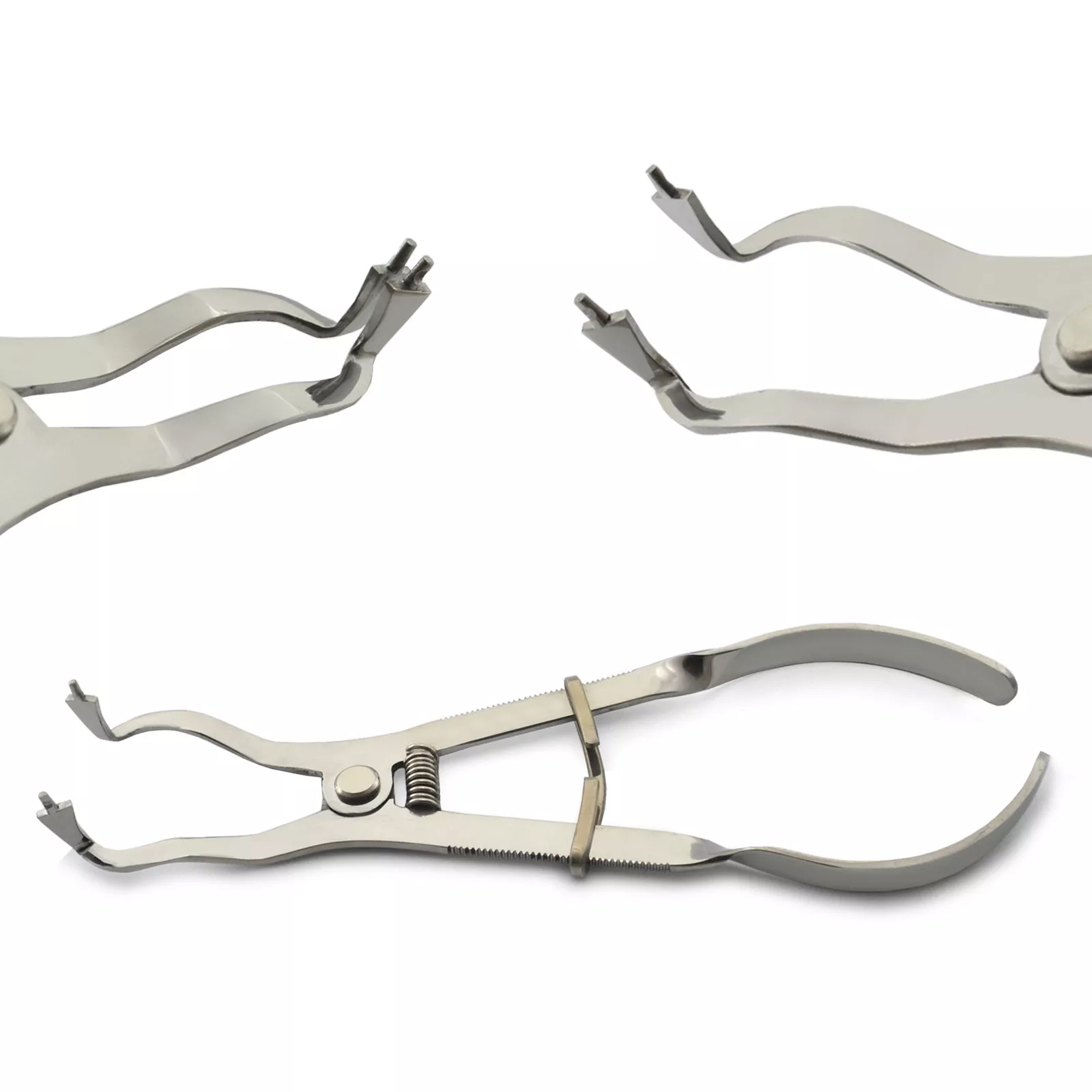 Picture of Dental Ivory Light Rubber Dam Clamp Forceps