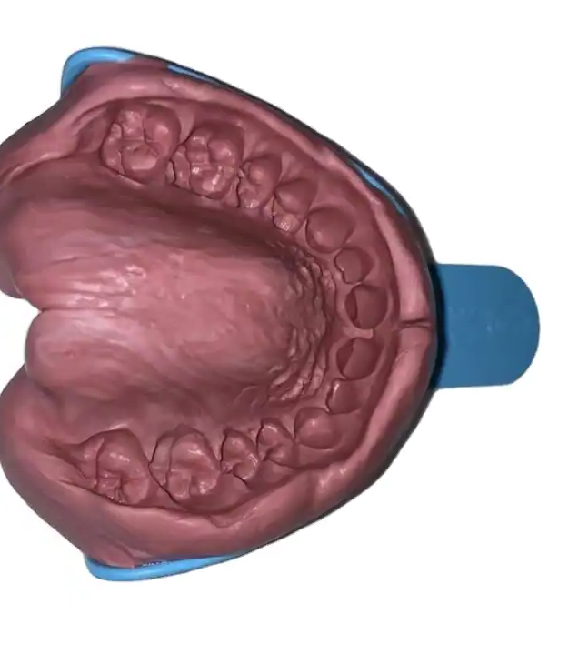 Picture for category Dental Impressions